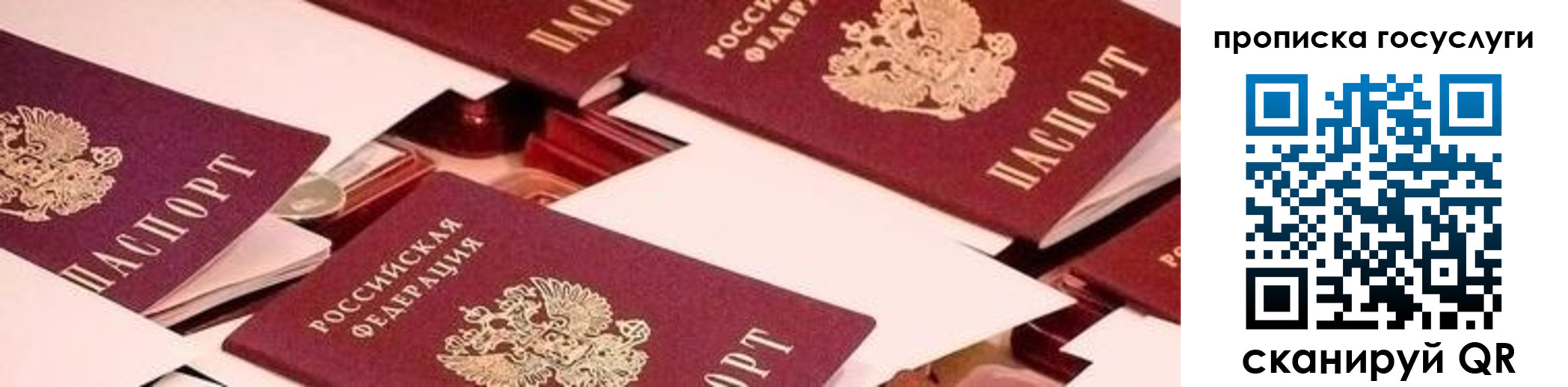 регистрация в Кандалакше